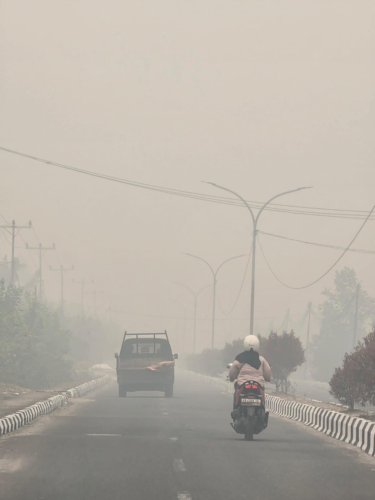 Rp5,7 Triliun Dampak Karhutla Kalbar, Pemerintah Digugat ke Pengadilan